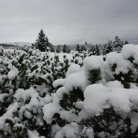Fewo Purper Frauenberg Exteriör bild