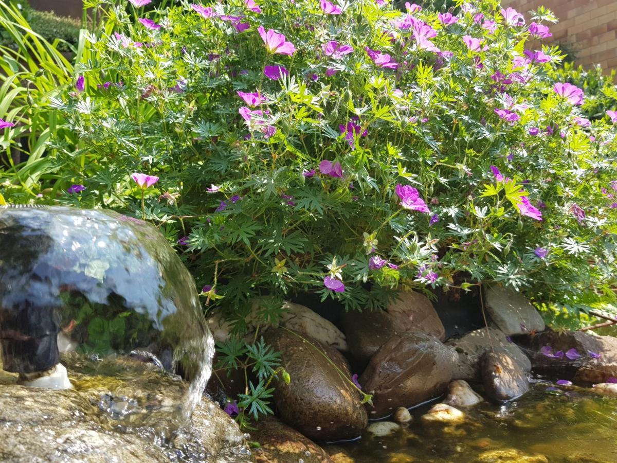 Fewo Purper Frauenberg Exteriör bild