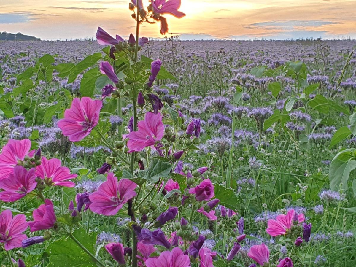 Fewo Purper Frauenberg Exteriör bild