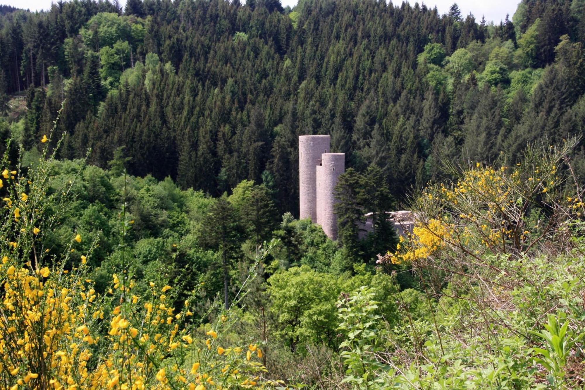 Fewo Purper Frauenberg Exteriör bild