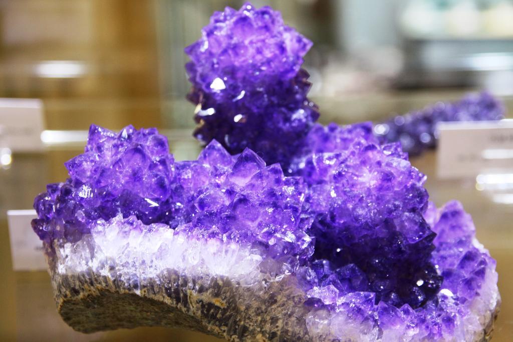 Fewo Purper Frauenberg Exteriör bild
