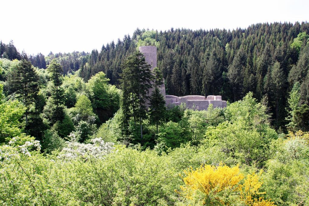 Fewo Purper Frauenberg Exteriör bild