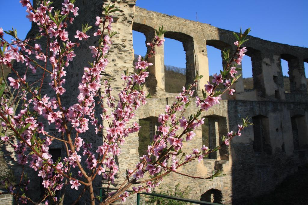 Fewo Purper Frauenberg Exteriör bild