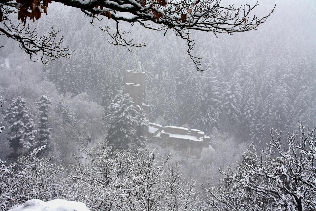 Fewo Purper Frauenberg Exteriör bild